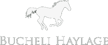 Bucheli Haylage - Heulage in bester Qualität mit Garantie! Bucheli Haylage - Heulage in bester Qualität mit Garantie!